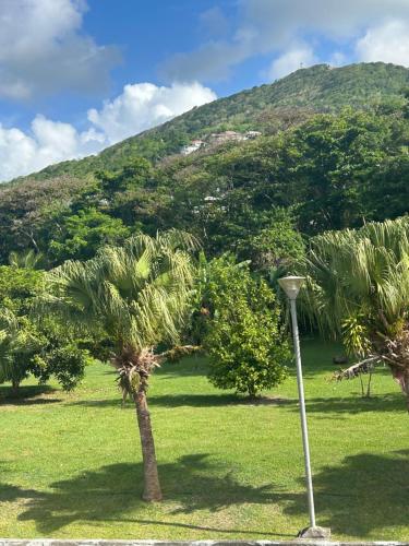 a palm tree and a street light with a mountain in the background at SUNNY Trois Ilets avec piscine, plage in Les Trois-Îlets
