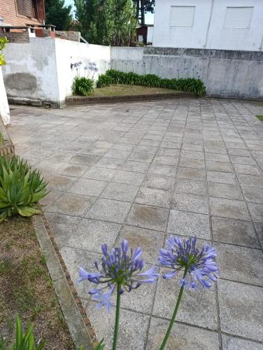 Afbeelding uit fotogalerij van Meu Mar in San Bernardo