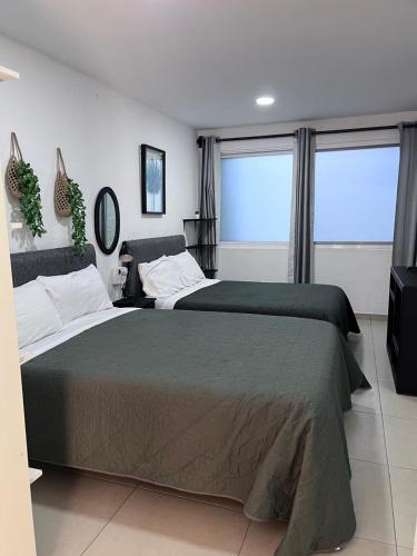 ein Schlafzimmer mit zwei Betten und zwei Fenstern in der Unterkunft Lindo y comodo Loft in Hércules