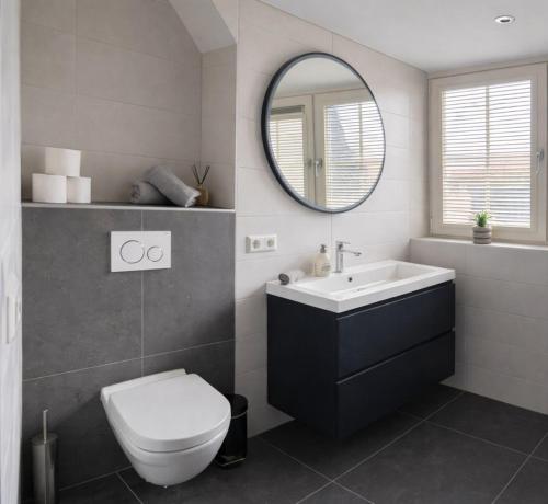 a bathroom with a toilet and a sink and a mirror at Vakantiewoning aan Zee in Zoutelande