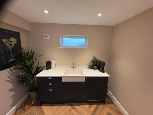 een badkamer met een wastafel en een raam bij NEW New Forest Hideaway for Two in Brockenhurst