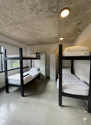 a room with three bunk beds in it at Casa mansa hostel in Maldonado
