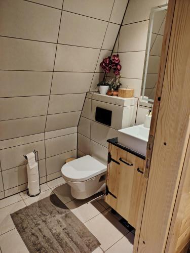 a bathroom with a toilet and a sink at Vikendica Vista in Vrdnik