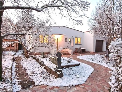 ein schneebedeckter Hof mit einem Haus in der Unterkunft Gemütliches Haus mit Schwedenofen im Wienerwald in Neulengbach