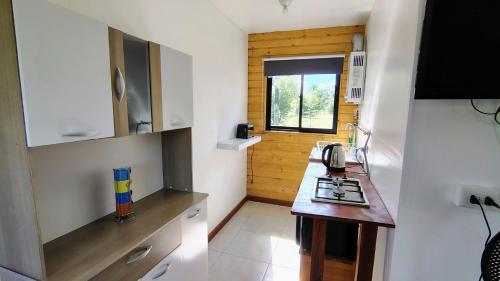 eine kleine Küche mit einer Theke und einem Fenster in der Unterkunft Cabañas en la naturaleza in Villarrica