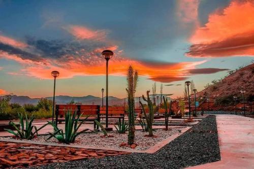 a park with cacti and palm trees at sunset at Chayerita - Suite en La Rioja in La Rioja