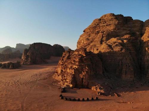 un gruppo di animali nel deserto di wadi Rum Desert Legends a Wadi Rum