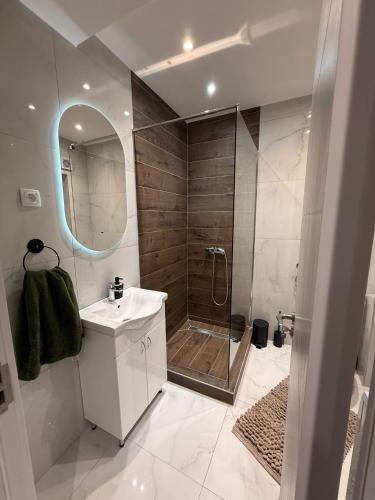 ObrenovacHil Obrenovac的浴室配有淋浴和洗手池