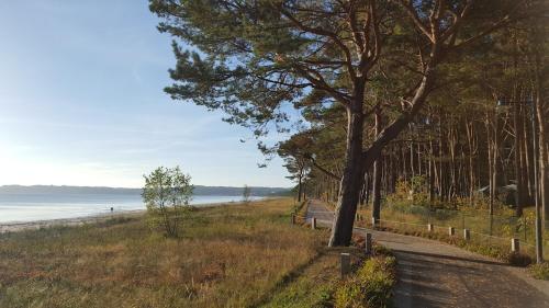 Stylische FeWo direkt am Strand mit Balkon und saisonalem Strandkorb photo 22