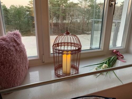 Stylische FeWo direkt am Strand mit Balkon und saisonalem Strandkorb photo 16