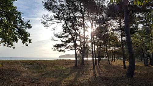 Stylische FeWo direkt am Strand mit Balkon und saisonalem Strandkorb photo 25
