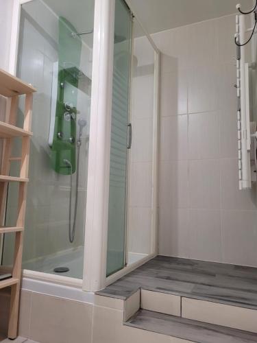 a shower with a glass door in a bathroom at La Grange, gîte classé, 300m du canal & vélo-route, 2km du centre de Dole in Dole