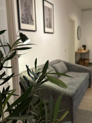 Apartment Eixample Dret Aragon - Sardenya