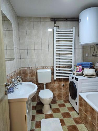 ein Badezimmer mit Toilette, Waschbecken und Waschmaschine in der Unterkunft Casa bianca Pale in Pale