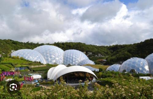 a bunch of domes in a field with trees at Corner Cottage Mevagissey in Mevagissey