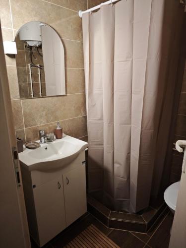 a bathroom with a sink and a shower curtain at Vikendica Neven 2 in Zaovine