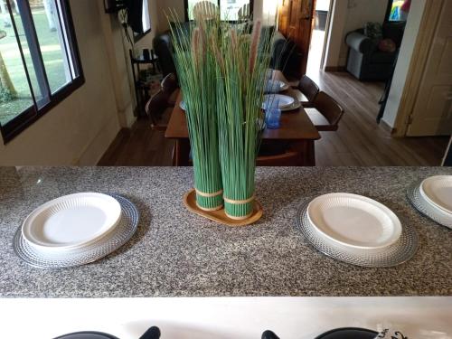 Churuquita GrandeFinca Agroturística La Amistad的柜台上放着两个白色盘子和一个花瓶。