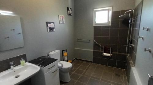 une salle de bains avec lavabo, toilettes et douche dans l'établissement LE DOMAINE de L'HYLODE, à Sainte-Anne