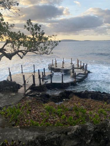 Naturlandskabet i nærheden af bed and breakfast-stedet