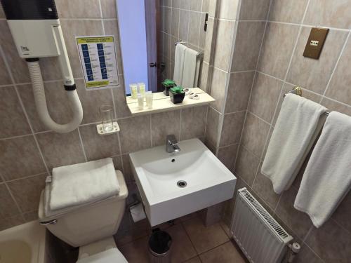a bathroom with a sink and a toilet and a mirror at Hotel HD Natales in Puerto Natales