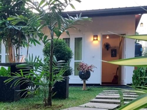 een huis met een palmboom ervoor bij Dhanashi Villa Talalla in Talalla South