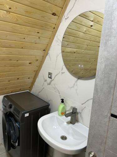 a bathroom with a sink and a mirror at Cottage Godzia in Sadgeri