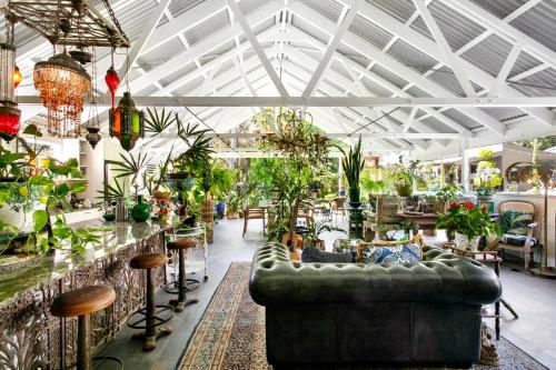 a room filled with lots of plants and a couch at Noosa Valley Manor B&B in Doonan