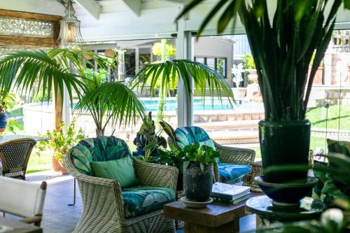 een patio met stoelen en een tafel met planten bij Noosa Valley Manor B&B in Doonan