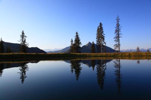 a lake with trees and mountains in the background at Landhaus & Appartementhaus Haussteiner in Dorfgastein