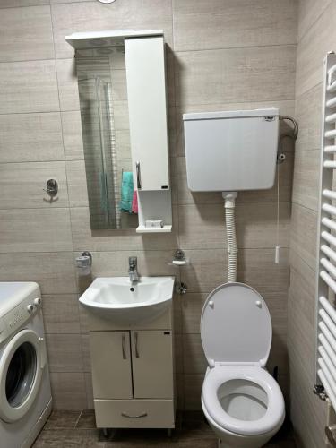 a bathroom with a toilet and a sink and a mirror at Hram View Apartment, Valjevo Center in Valjevo
