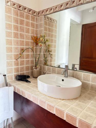 a bathroom with a sink and a mirror at Studio Terres Basses, Saint-Martin in Les Terres Basses