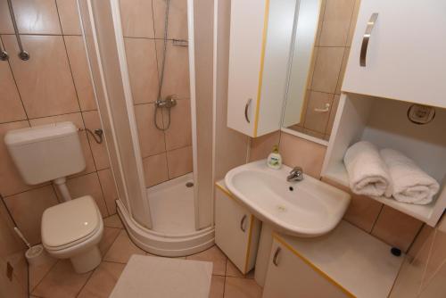 a bathroom with a toilet sink and a shower at Apartments Roza in Miškovići