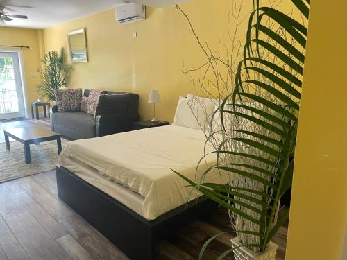 un soggiorno con un letto e un divano di Torraille Waterfall Villas a Soufriere