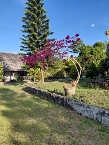 Fotografie z fotogalerie ubytování Sembalun agro villa&restoran v destinaci Sembalun Lawang