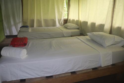 2 bedden in een kamer met witte lakens en kussens bij capybara tours and lodge in San Pedro