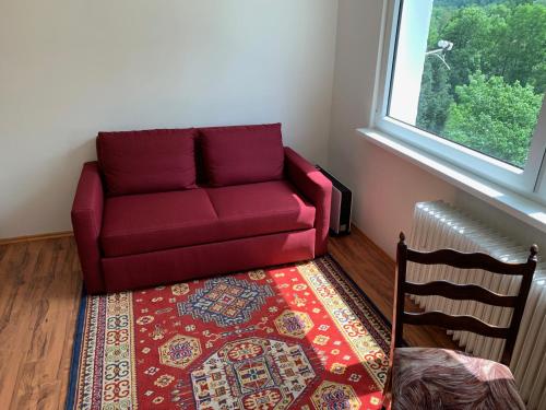 a red couch in a living room with a rug at Útulný apartmán v Jizerkách in Hejnice