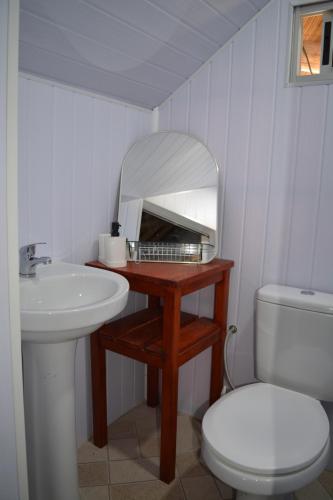 a bathroom with a sink and a mirror and a toilet at Orejano in Mercedes