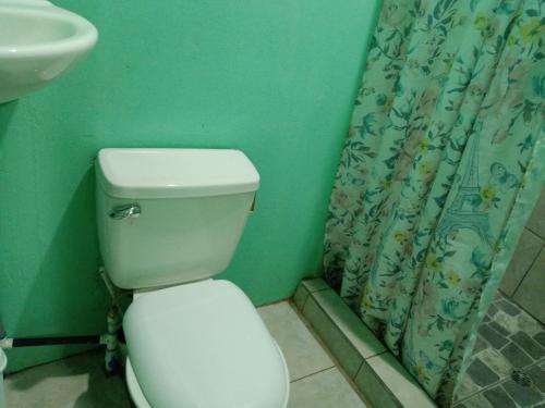 ein Badezimmer mit Toilette, Waschbecken und Duschvorhang in der Unterkunft Cabinas mandarina in Cocles