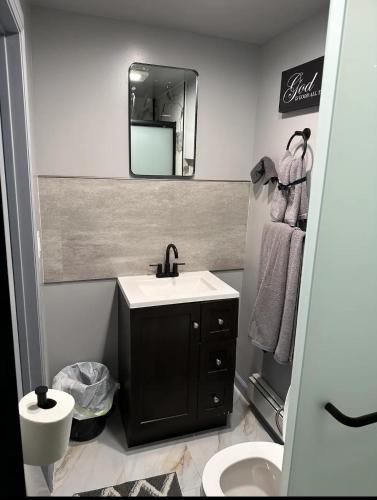 a bathroom with a sink and a mirror at Private Garden Suite in Bayshore in Bay Shore