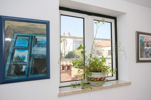 a window with a plant on a ledge at Apartments Residence Astoria in Rab