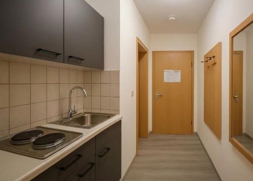 Kuchyň nebo kuchyňský kout v ubytování Ferienwohnung Bayrischer Wald - Urlaub in schöner Natur, Schwimmbad, Relaxen, Sauna