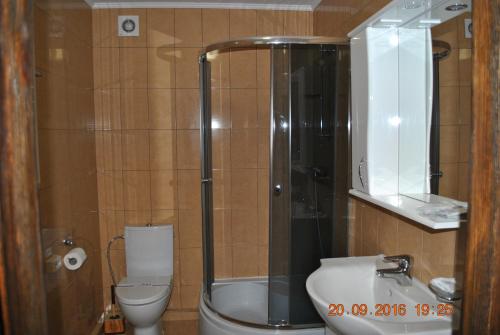 a bathroom with a shower and a toilet and a sink at Dykyi Khutir in Melʼniki