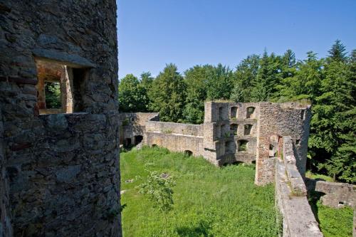 an old castle ruins with trees in the background at Blockhäuser Stamsried in Stamsried