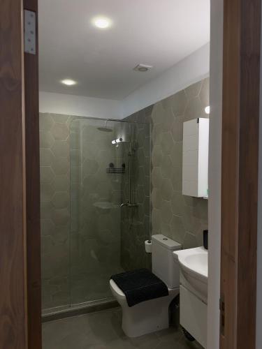 a bathroom with a shower and a toilet and a sink at Hotel Lamish in Mestia