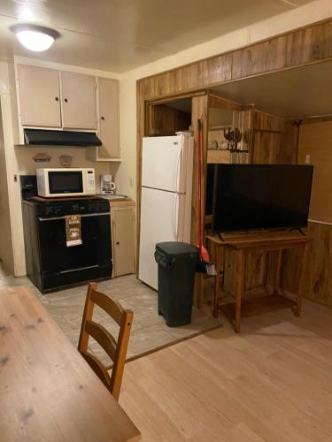 a kitchen with a refrigerator and a table and a microwave at Park Model Furnished #5 in Tucson