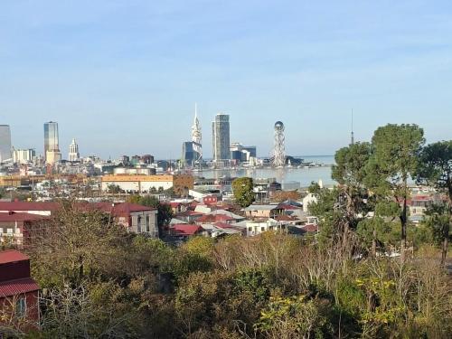 Udsigt til Batumi eller udsigt til byen taget fra feriehuset