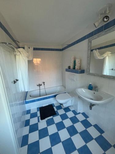 a bathroom with a blue and white checkered floor at Pure nature - Dein Landhaus in Wardow