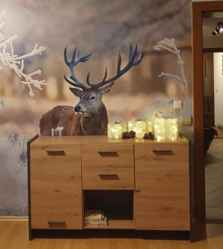 LECHUFER, 80m2, Haushälfte mit privatem Eingang, Kaminofen, Terrasse, Garten