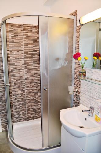 a bathroom with a shower and a sink at Pensiunea Ana in Odoreu