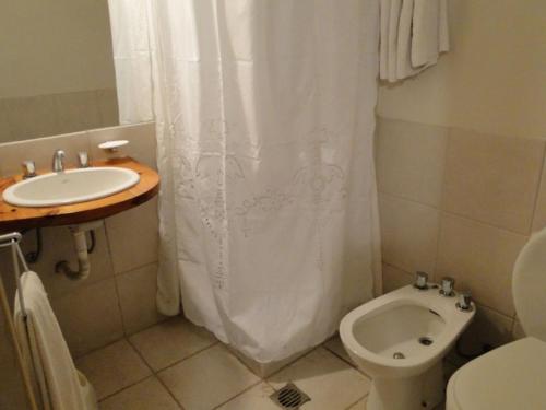 y baño con cortina de ducha y aseo. en Hotel Barrancas San Pedro en San Pedro